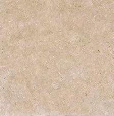 Natural Gray Limestone Paver Trq