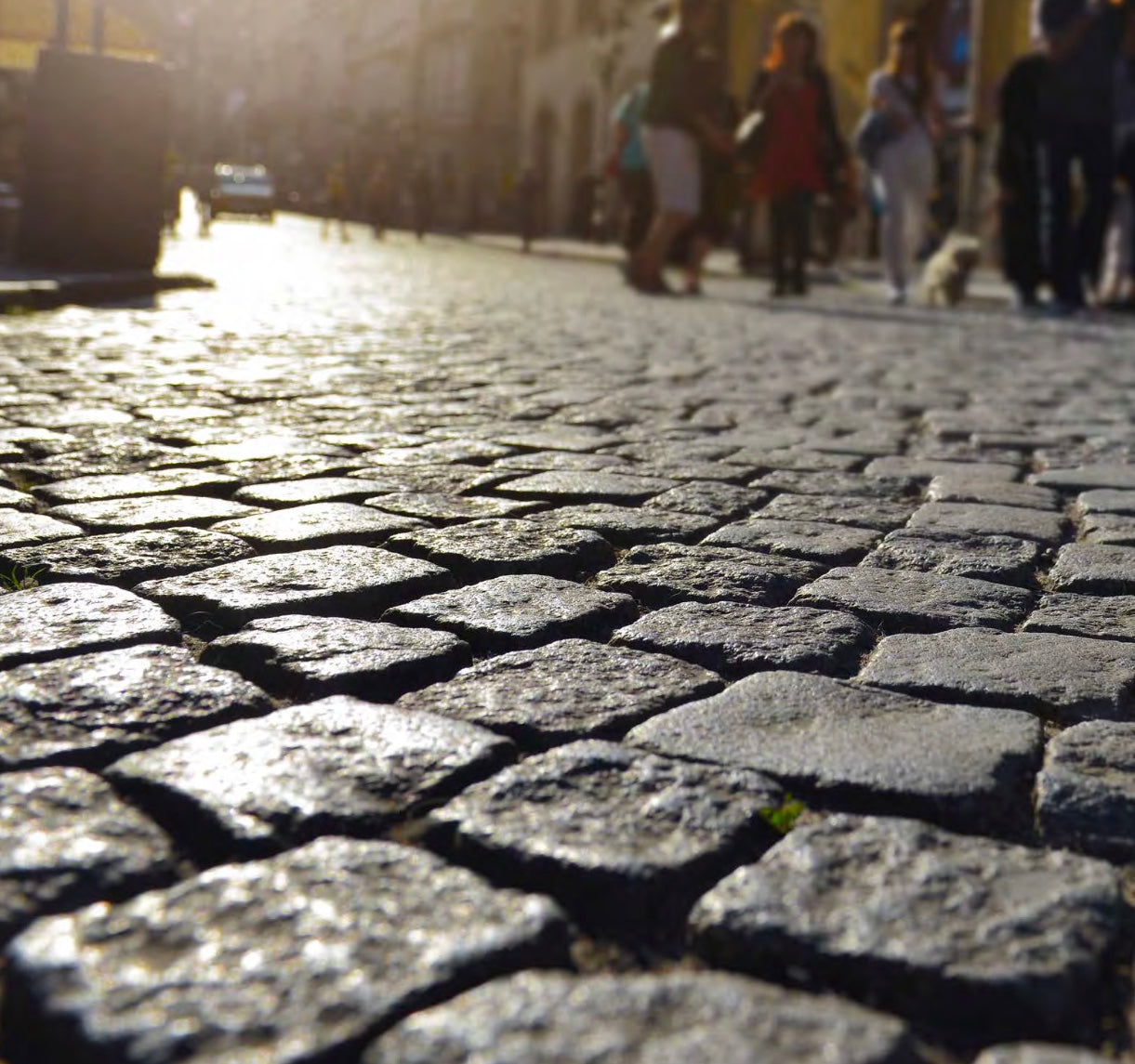 Cube Paver Trq