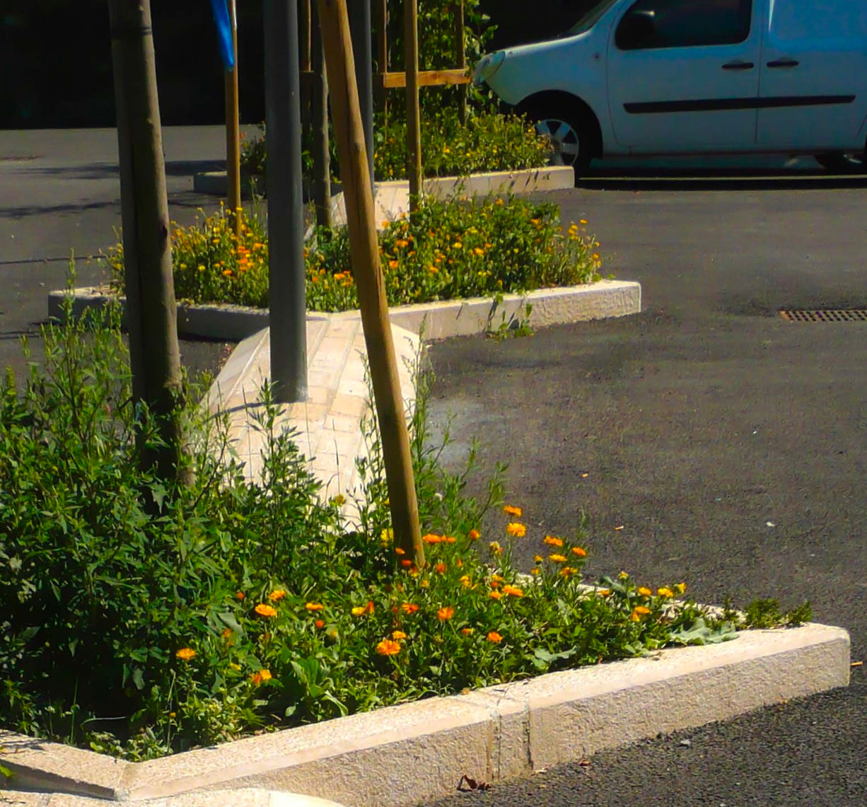 Border Paver Trq